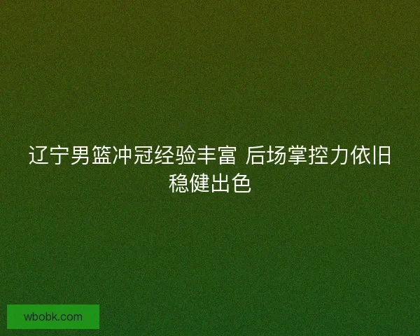 辽宁男篮冲冠经验丰富 后场掌控力依旧稳健出色