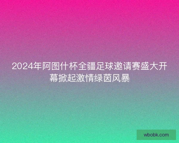 2024年阿图什杯全疆足球邀请赛盛大开幕掀起激情绿茵风暴 2024年阿图什杯全疆足球邀请赛盛大开幕掀起激情绿茵风暴