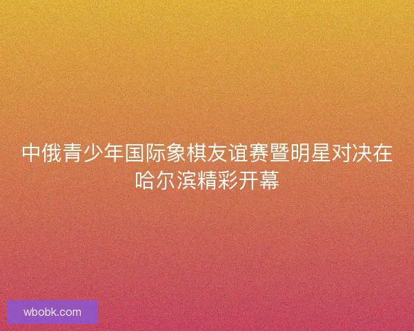 中俄青少年国际象棋友谊赛暨明星对决在哈尔滨精彩开幕 中俄青少年国际象棋友谊赛暨明星对决在哈尔滨精彩开幕